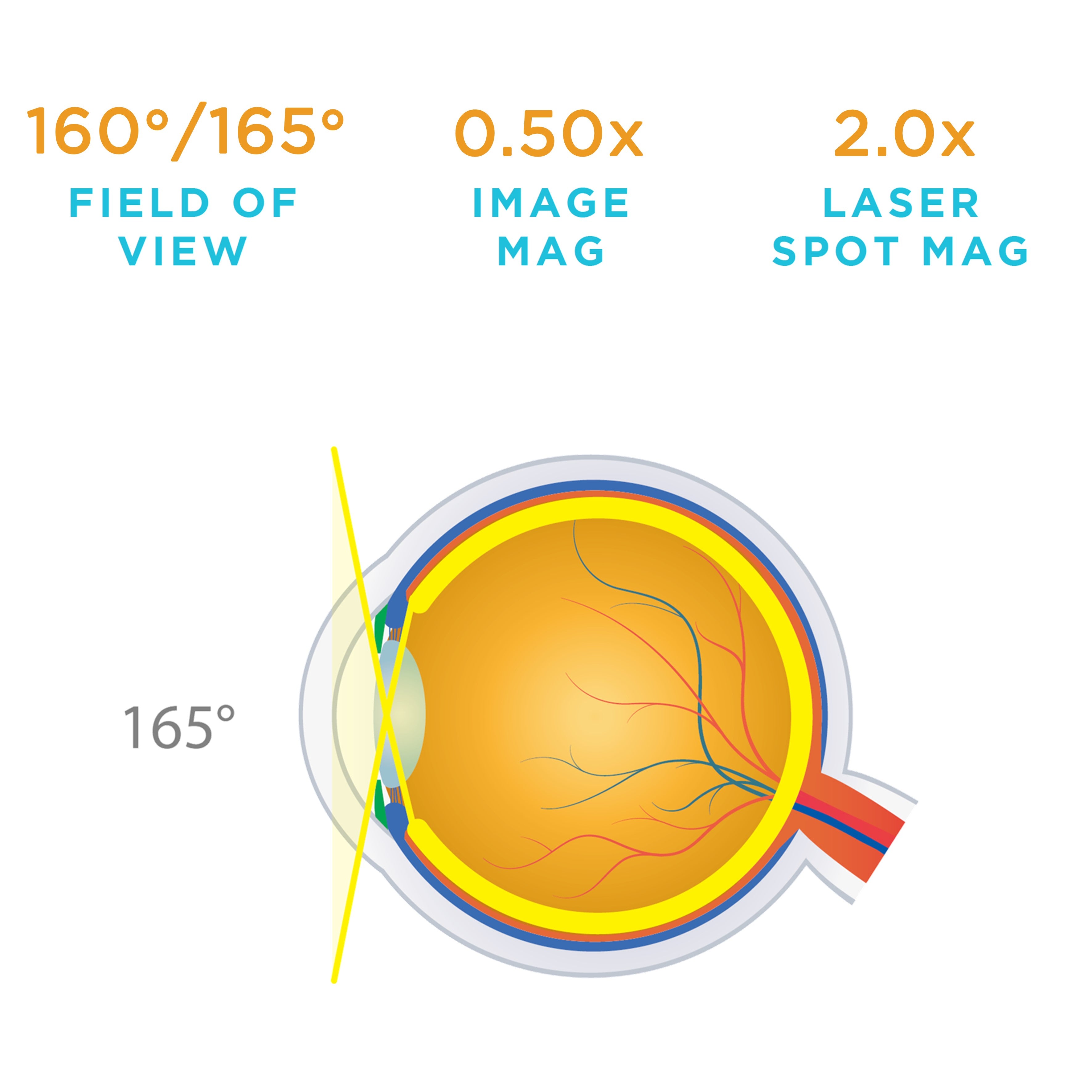 VOLK SUPER QUAD 160: схема поля зрения 160°/165°, magnification 0,50× и laser spot 2,0×